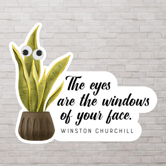 The Eyes are the Windows of Your Face Christopher Walken SNL Googly Eyes Stickers