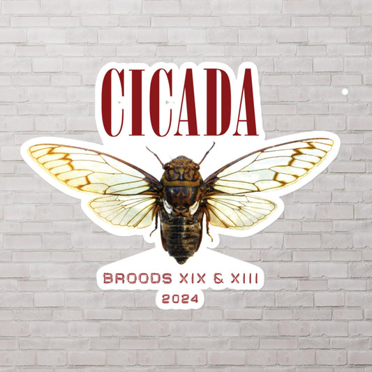 Cicada Invasion 2024 Nirvana Parody Stickers
